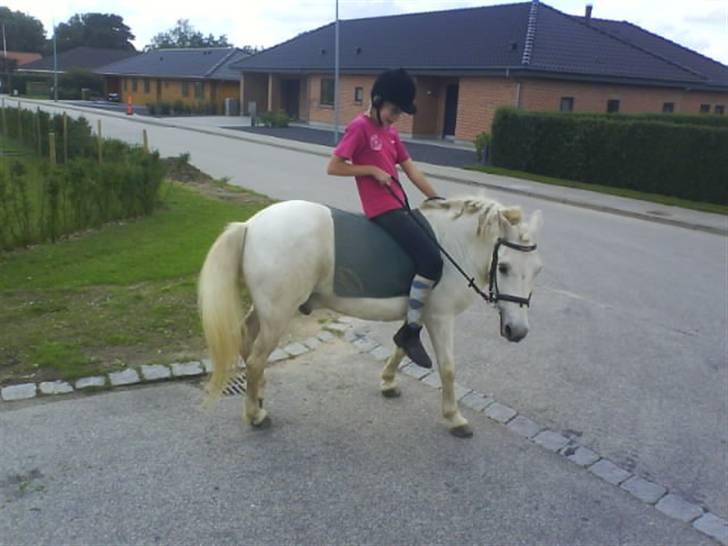 Gøg og gokke på tur XD billede 53