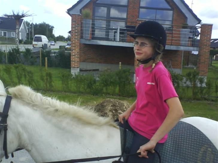 Gøg og gokke på tur XD billede 55