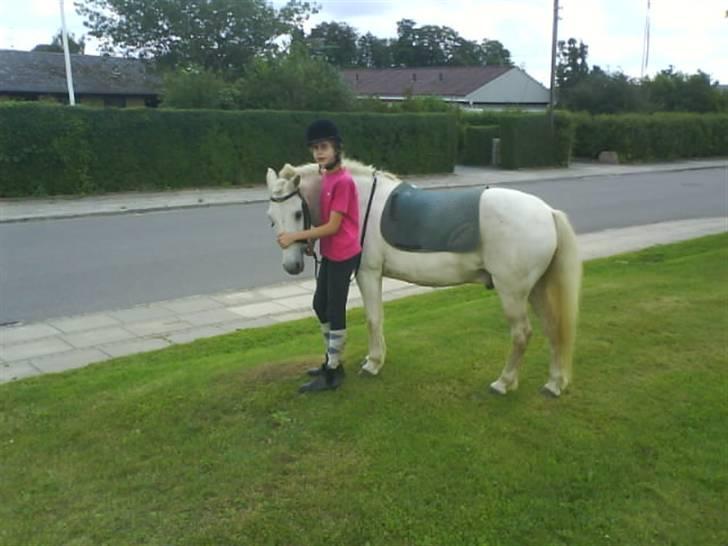 Gøg og gokke på tur XD billede 57