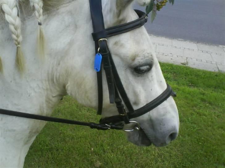 Gøg og gokke på tur XD billede 58