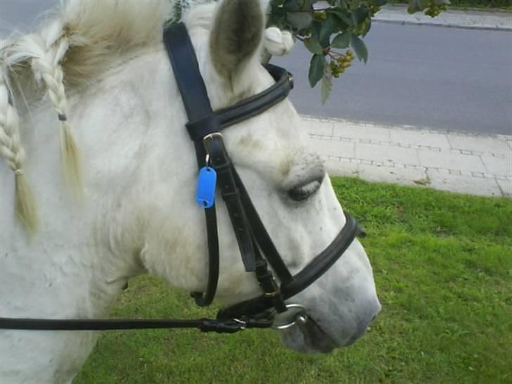 Gøg og gokke på tur XD - Smukke bounty billede 59