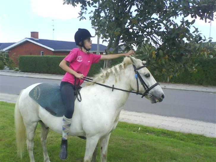 Gøg og gokke på tur XD billede 60