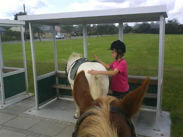 Gøg og gokke på tur XD - Lidt problemer med at komme op igen;') billede 61