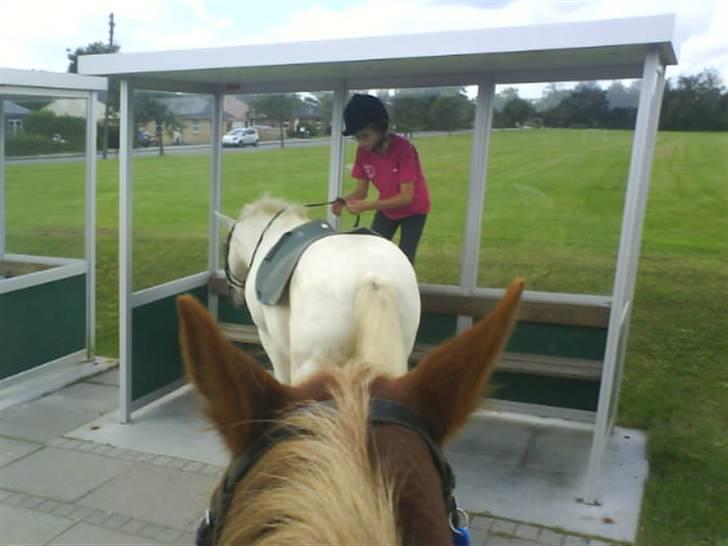 Gøg og gokke på tur XD billede 62