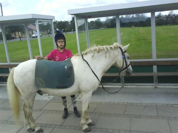 Gøg og gokke på tur XD billede 64