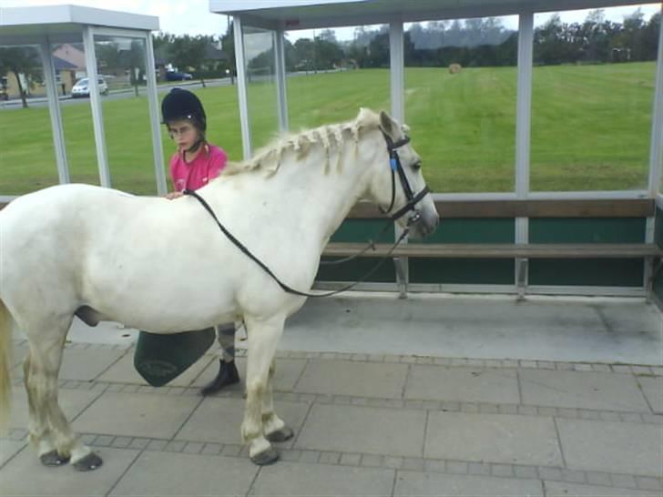 Gøg og gokke på tur XD billede 65