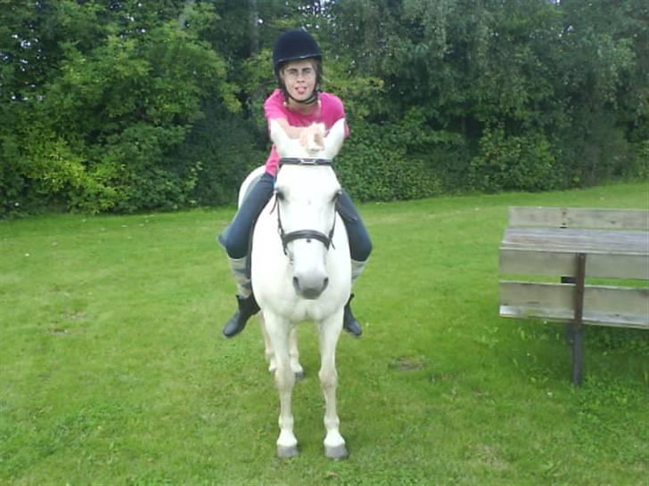 Gøg og gokke på tur XD billede 66