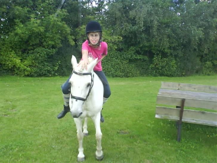 Gøg og gokke på tur XD billede 67