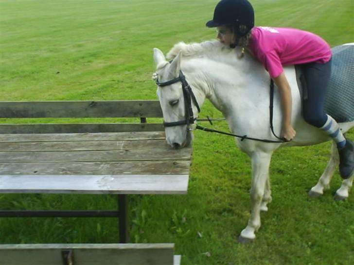 Gøg og gokke på tur XD billede 68