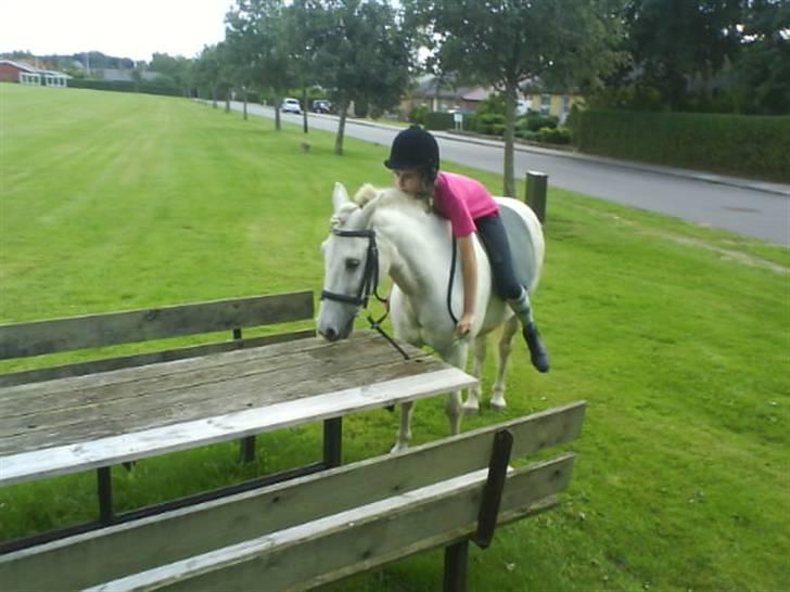 Gøg og gokke på tur XD - Vi undersøger lige bordet billede 69