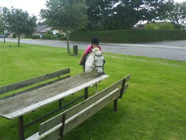 Gøg og gokke på tur XD billede 70