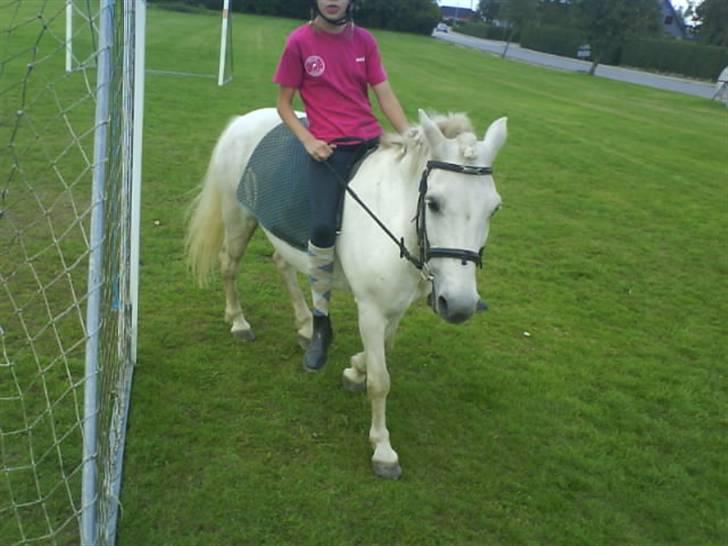 Gøg og gokke på tur XD billede 71