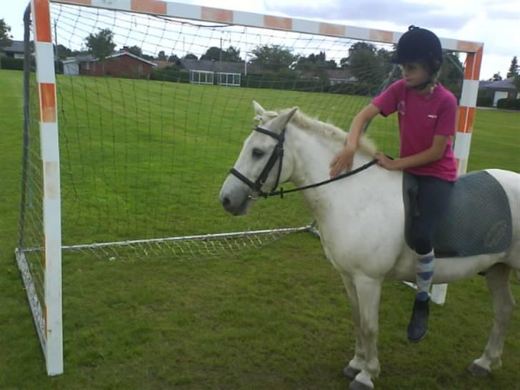 Gøg og gokke på tur XD billede 73