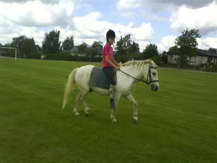 Gøg og gokke på tur XD billede 75