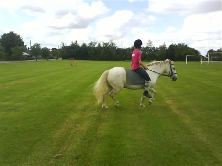 Gøg og gokke på tur XD billede 76