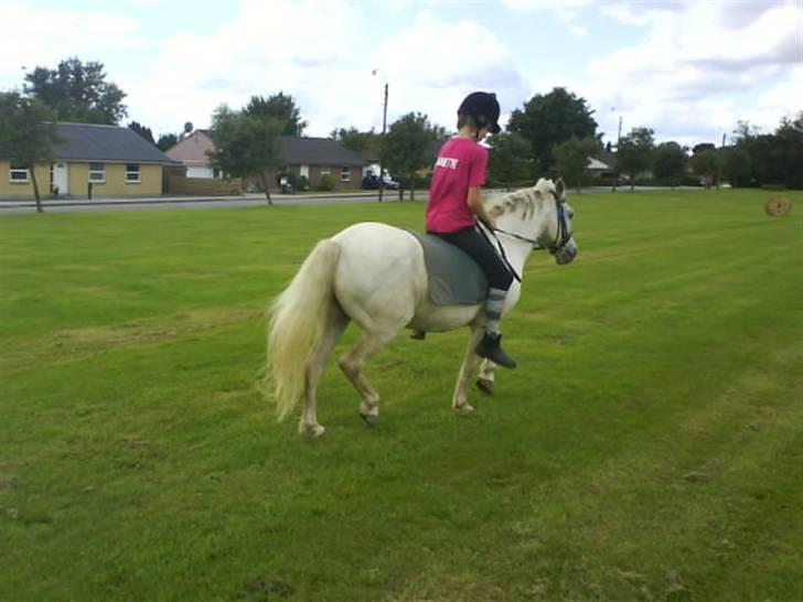 Gøg og gokke på tur XD billede 77