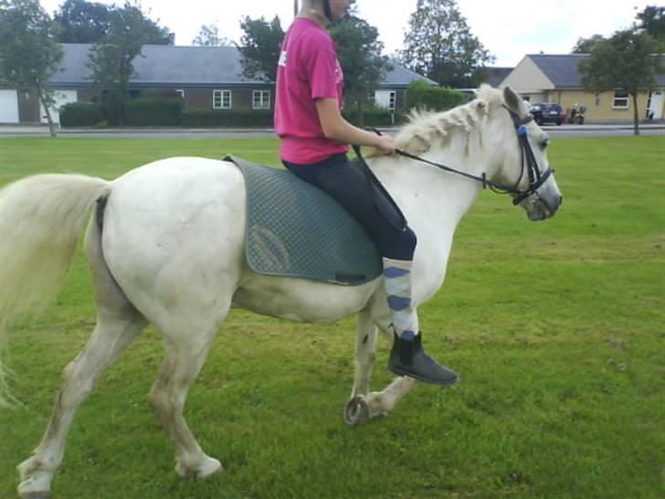 Gøg og gokke på tur XD billede 78