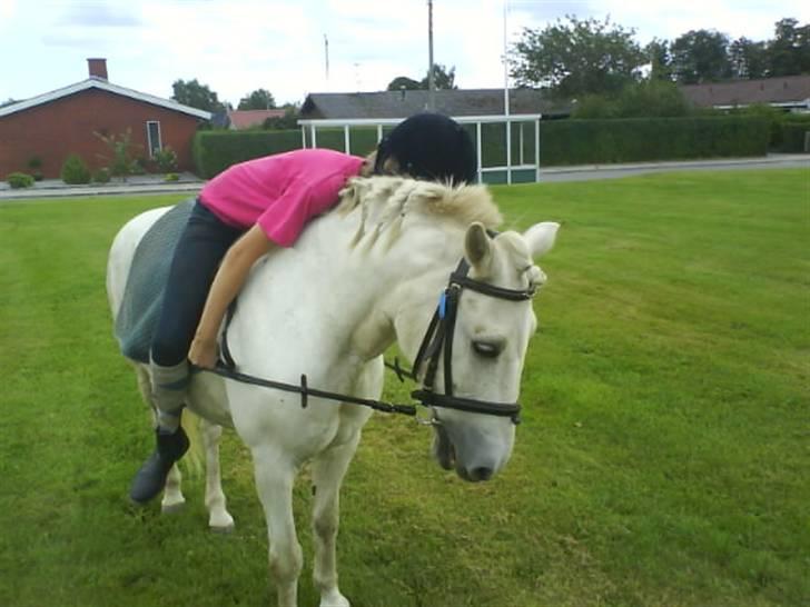 Gøg og gokke på tur XD billede 79