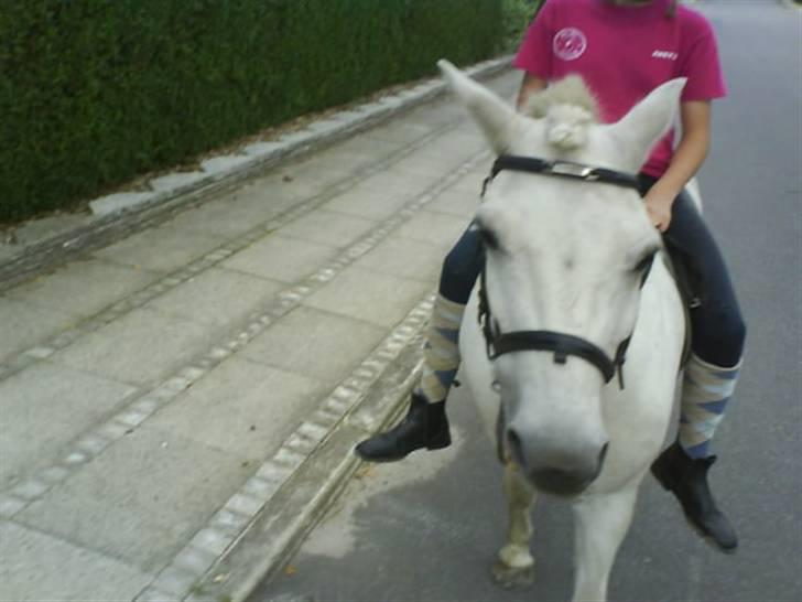 Gøg og gokke på tur XD billede 82