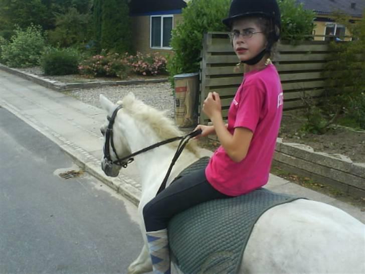 Gøg og gokke på tur XD billede 84