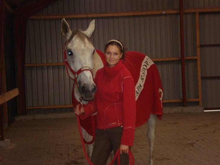 Diverse Ferrari (: - Ferrari og jeg, med hendes nye tæppe og grime, lige efter træning i gjern, elsker dig min. foto: alice gosvig. billede 7