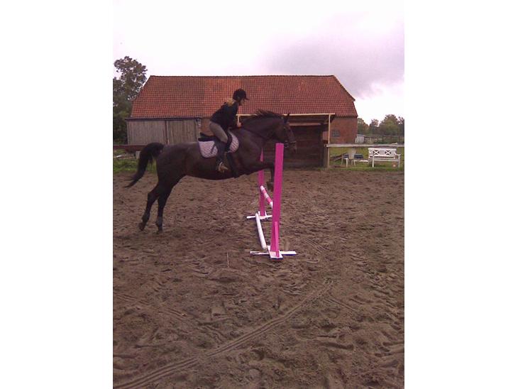 {{currentPhoto.altText}} billede {{currentPhoto.number}}