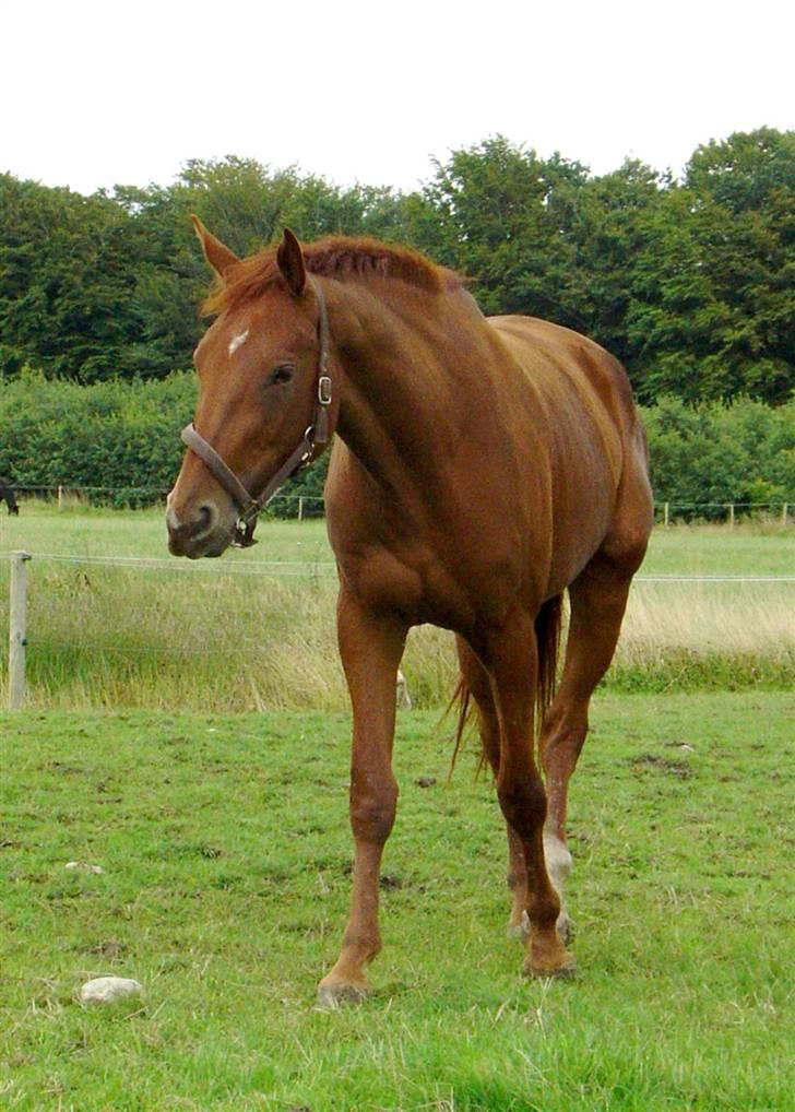 Træning i kapsun og køreliner billede 3
