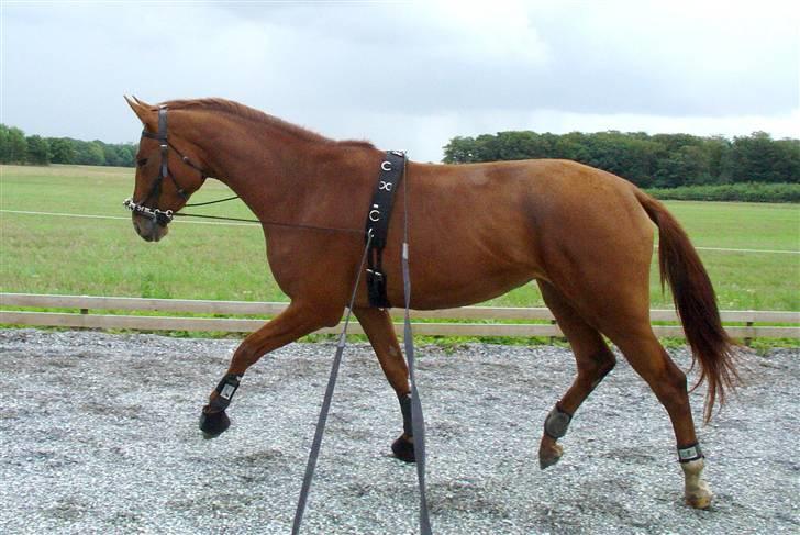 Træning i kapsun og køreliner billede 4