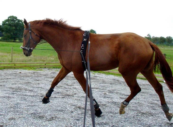 Træning i kapsun og køreliner billede 5