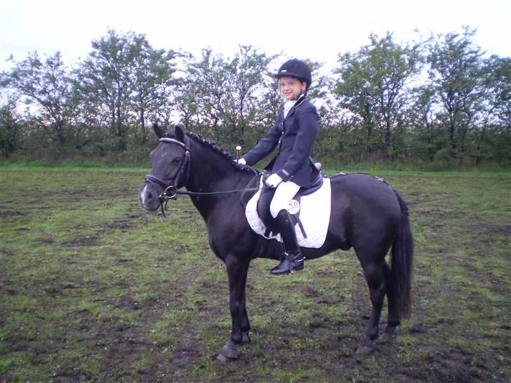 Stævne med Beauty i SydJysk Rideklub Rødekro - På opvarmnings banen, det var noget smadder, men Beauty var sød. billede 1