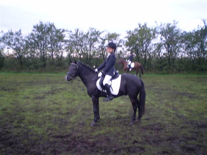 Stævne med Beauty i SydJysk Rideklub Rødekro - Igen på opvarmnings banen. billede 2