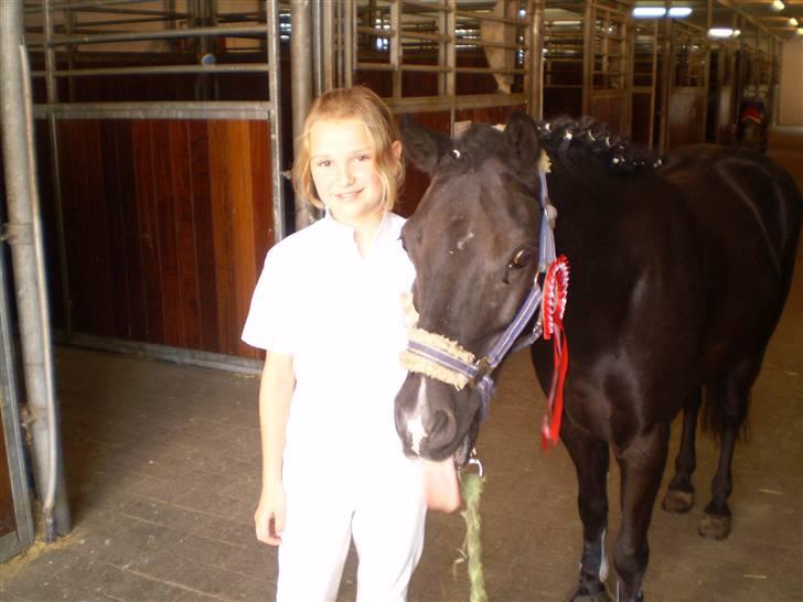 Stævne med Beauty i SydJysk Rideklub Rødekro - Lige kommet hjem fra stævnet det var en rigitg god dag. billede 4
