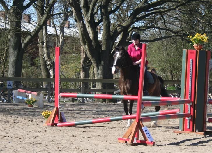 Gg stævne på bagsværd fort - Stine på Solly billede 2