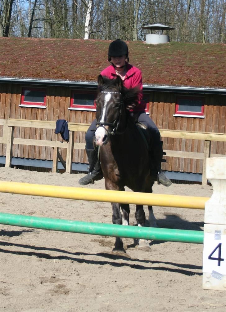Gg stævne på bagsværd fort - Stine på Solly billede 9