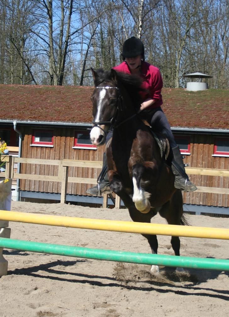 Gg stævne på bagsværd fort - Stine på Solly billede 10