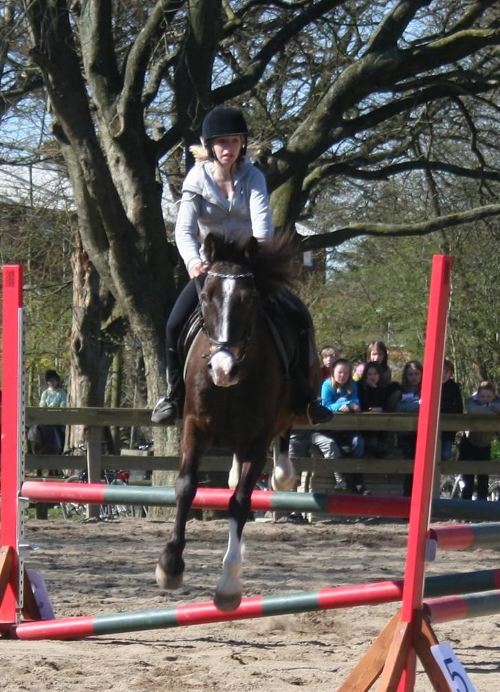 Gg stævne på bagsværd fort - Anita på Solly billede 11