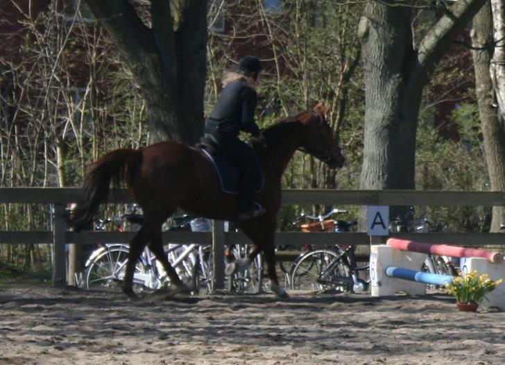 Gg stævne på bagsværd fort - Cille på Oskar billede 13