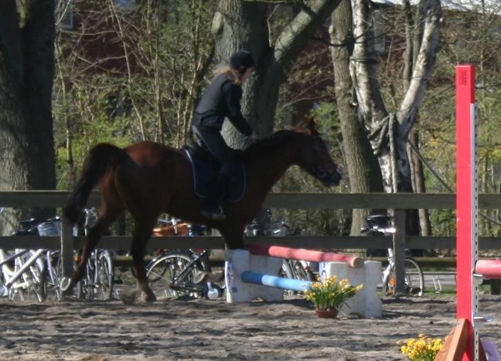 Gg stævne på bagsværd fort - Cille på Oskar billede 14
