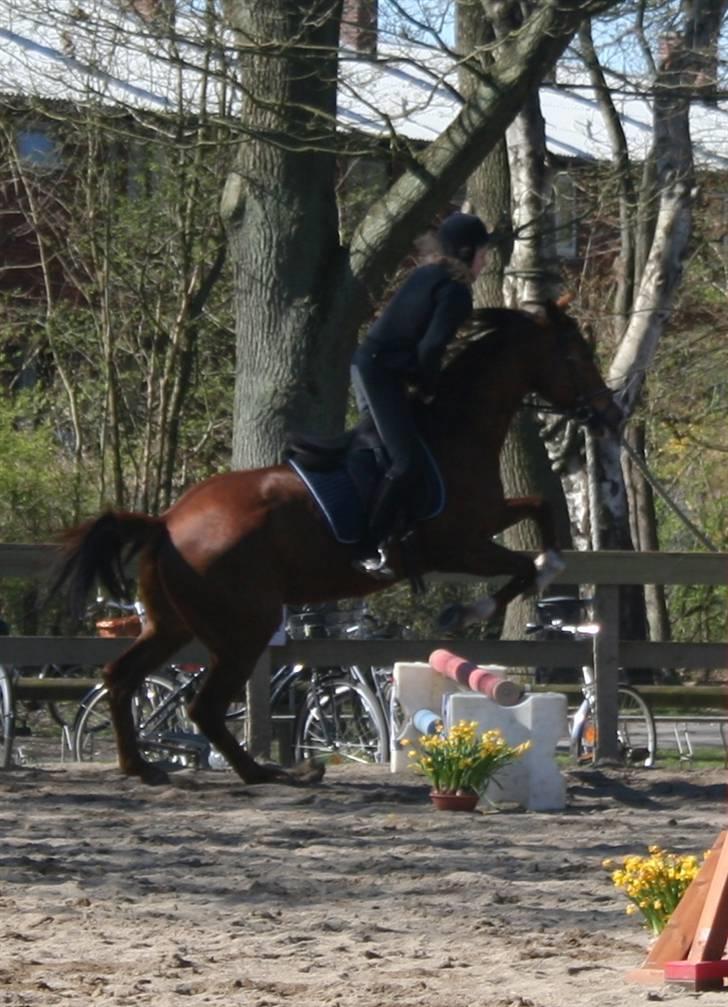 Gg stævne på bagsværd fort - Cille på Oskar billede 15