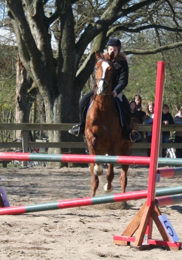 Gg stævne på bagsværd fort - Cille på Oskar billede 17