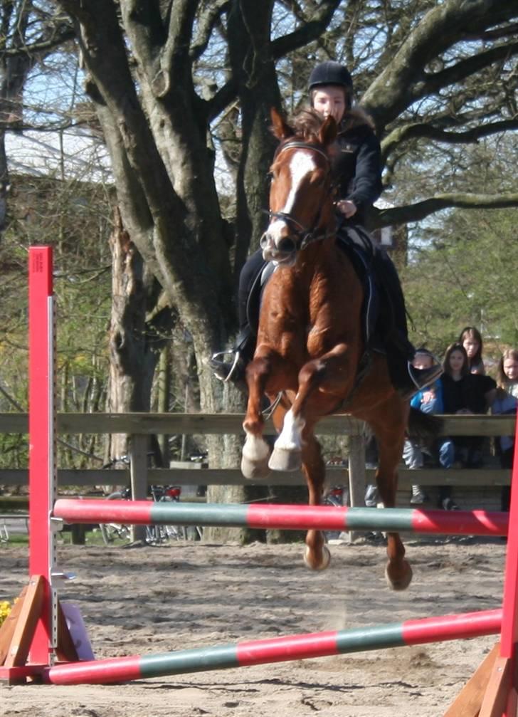 Gg stævne på bagsværd fort - Cille på Oskar billede 18