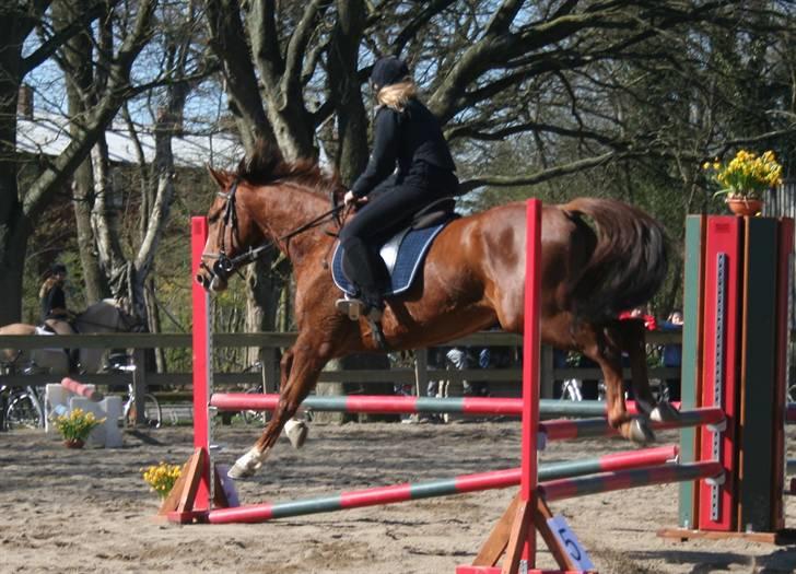 Gg stævne på bagsværd fort - Cille på Oskar billede 21