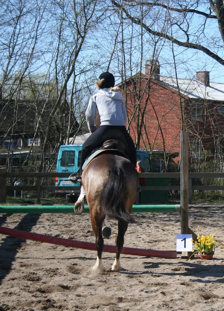 Gg stævne på bagsværd fort - Anita på Solly billede 24