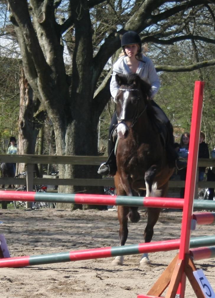 Gg stævne på bagsværd fort - Anita på Solly billede 25