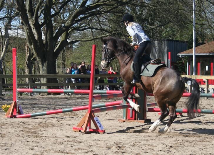 Gg stævne på bagsværd fort - Anita på Solly billede 27