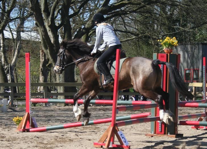 Gg stævne på bagsværd fort - Anita på Solly billede 28