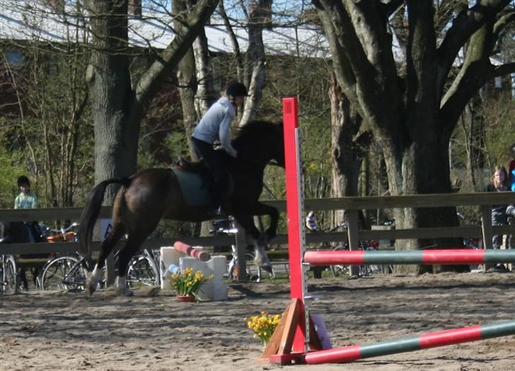 Gg stævne på bagsværd fort - Anita på Solly billede 29