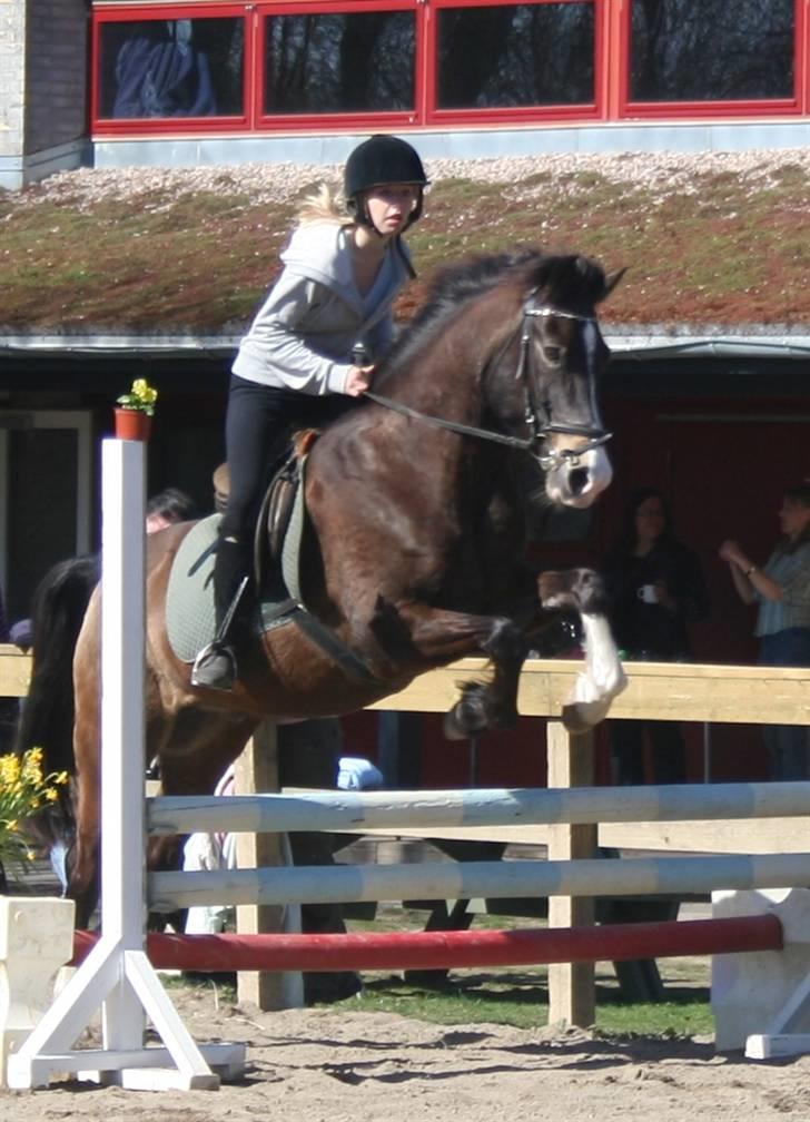 Gg stævne på bagsværd fort - Anita på Solly billede 30