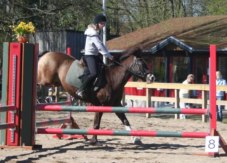 Gg stævne på bagsværd fort - Anita på Solly billede 32