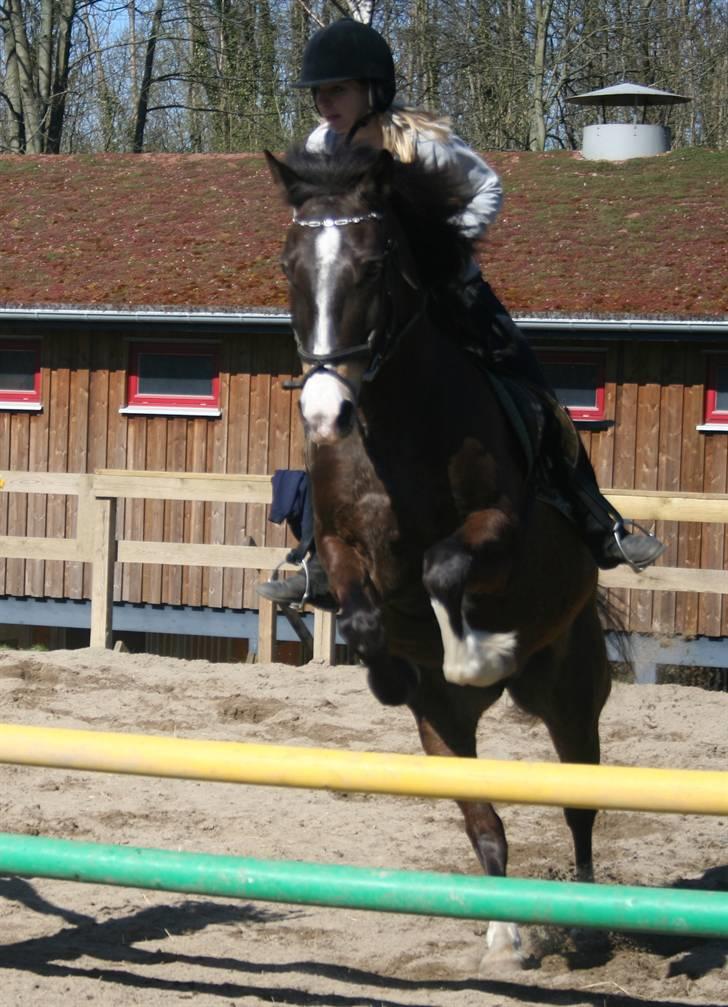 Gg stævne på bagsværd fort - Anita på Solly billede 33